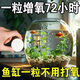 魚(yú)缸凈水片澄澈凈化水質(zhì)除臭去腥魚(yú)缸水族箱魚(yú)池清水養魚(yú)凈水劑z 2瓶/200片【魚(yú)缸增氧片】