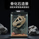 畫法幾何魚缸造景 小型魚缸米家智能桌面魚缸專用骨化石造景