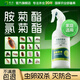 皎潔氯菊酯胺菊酯噴霧除蟲(chóng)菊酯類(lèi)殺蟲(chóng)劑隱翅蟲(chóng)家用噴劑溶液噴劑擬除蟲(chóng) 500mL 1瓶