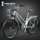 飛鴿（FLYING PIGEON）自行車(chē)通勤車(chē)成人男女青少年大中學(xué)生車(chē)騎行代步復古老式變速單車(chē) 卡布奇諾-禧瑪諾21速 太空銀 26寸適合150-180cm