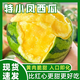 騎猴趕馬特小鳳黃心西瓜 冰淇淋西瓜黃壤當(dāng)季新鮮水果送禮黃肉小西瓜 凈重3-4斤嘗鮮裝【1-2枚】 陽(yáng)面瓜甜度更高