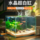森森（SUNSUN）超白玻璃魚(yú)缸桌面客廳生態(tài)斗魚(yú)金魚(yú)烏龜缸造景懶人養(yǎng)魚(yú)水草缸 超白裸缸500x270x300mm【帶18件套】