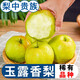 玉露香梨新鮮梨子脆冠蘋果梨當(dāng)季現(xiàn)摘水果紅酥甜青梨整箱 帶箱9-10斤 250g精選中大果