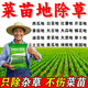 速派達蔬菜苗后專(zhuān)用除草劑不傷菜苗爛根除雜草三年不長(cháng)草正品農藥批發(fā) 2套【菜苗專(zhuān)用除草】不傷菜苗