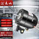 長城工業(yè)風(fēng)扇強力電機壁掛落地扇配件電風(fēng)扇機頭線控16軸220v工廠大功率牛角扇機械式搖頭馬達銅線電機  750型電機【強動力 加長電源線 】