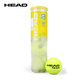 海德（HEAD） 膠罐網(wǎng)球TOUR XT大師賽用球專(zhuān)業(yè)比賽球訓練球桶裝 【1桶4?！縏EAM 黃罐網(wǎng)球