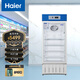 海爾(Haier)立式單溫展示柜 2-8℃藥品冷藏箱風(fēng)冷冰柜醫藥品冷柜 保鮮柜HYC-310S HYC-198S/220S 220L