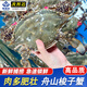 梭子蟹鮮活冷凍舟山新鮮大螃蟹紅膏蟹飛蟹白蟹海鮮水產(chǎn)三眼海蟹 梭子蟹整只 2斤裝(5-7整只)