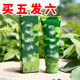 綠色叢林預(yù)防基孔肯雅熱綠色長效驅(qū)蚊霜驅(qū)蚊膏出境野外非洲兒童防蚊蟲叮咬 一盒裝