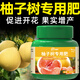 仟仟緣憶柚子樹(shù)專(zhuān)用肥有機肥料果樹(shù)氮磷鉀復合開(kāi)花結果磷酸二氫鉀促花化肥 柚子樹(shù)專(zhuān)用肥1瓶【送勺子】