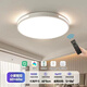 客廳吸頂燈已接入米家APP1.1米led燈具大全2025臥室全光譜護(hù)眼燈 60cm已接入米家APP【包安裝】