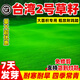 草坪種子護(hù)坡草籽草皮種子四季常青庭院免修剪耐寒草坪草綠化工程 臺(tái)灣二號(hào)凈籽5斤【矮生綠化】