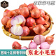 傾睦東北毛蔥頭 吉林特產(chǎn)干香笨毛蔥鬼子珠蔥小圓蔥紅蔥頭水果小洋蔥 5斤 大蔥【單蔥3cm+】