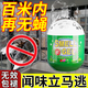 泰迪克斯蒼蠅驅(qū)趕神器強(qiáng)力滅蠅器家用廚房餐館專用驅(qū)蟲無毒驅(qū)蟑螂蚊蟲克星 3個 【買2送1】