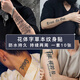 旅峯草本果汁紋身貼男士防水持久洗不掉不反光女國風(fēng)詩詞線條紋身貼紙 花體字10張【草本果汁半永久】