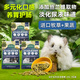 牛寵藍莓全階段龍貓糧益生菌主糧磨牙糧食龍貓專(zhuān)用零食營(yíng)養飼料30g*3