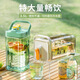 JCZS冰箱冷水壺帶龍頭水果茶冷泡壺涼水壺家用大容量飲料果汁茶飲料桶 淺綠色 3500ml