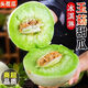 現摘玉菇甜瓜當季新鮮水果冰淇淋蜜瓜軟糯香甜冰激凌薄皮解暑白瓜 8-9斤【3-5個(gè)瓜】