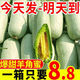 爾蝶山東頭茬羊角蜜瓜 羊角蜜 香瓜甜瓜 當季新鮮水果應季時令果蔬 精選5斤裝 凈重4.5斤