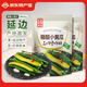 金剛山延邊朝鮮族特產(chǎn)韓式泡菜辣白菜酸甜黃瓜小根蒜咸菜半加工腌制蔬菜 糖醋小黃瓜300g*2袋