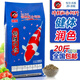 海豚魚(yú)糧 錦鯉魚(yú)飼料育成增體增色錦鯉魚(yú)食上浮糧金魚(yú)觀(guān)賞魚(yú)飼料 10kg育成M中粒
