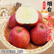 【順豐】正宗煙臺愛(ài)香妃蘋(píng)果國產(chǎn)愛(ài)香妃蘋(píng)果新鮮水果脆甜 5斤 特大果85-90mm【80%人選擇】