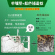 OIMG螞蟻城堡系列套餐工坊蟻巢生態(tài)屋箱盒送蟻后繁殖螞蟻部王國 S12款+2后200只(鋪道蟻)+糧+免裝