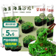 盛源來3袋海藻沙拉660g 調(diào)味裙帶菜海藻沙拉海草絲壽司春游即食涼拌菜
