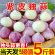 谷真【新蒜】紫皮獨(dú)頭蒜大蒜頭 5斤精品新鮮干蒜濕蒜農(nóng)家自種蔬菜批發(fā) 獨(dú)頭蒜 1斤 小果（單2.0-2.5cm）