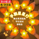 若萸手持星星燈六一兒童節手腕舞臺表演合唱舞蹈道具手環(huán)五角星熒光棒 【星星燈】?jì)蓚€(gè)裝/8cm/腕帶款 表演/派對/聚會(huì )