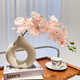 創(chuàng)京懿選蝴蝶蘭仿真花客廳玄關(guān)裝飾品假花擺設(shè)高端餐桌花卉輕奢花藝擺件 粉色9頭壓紋蝴蝶蘭+陶瓷甜甜圈花