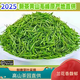 御溪山2025黃山毛峰新茶嫩芽綠茶毛峰明前春茶濃香型毛尖250g禮罐裝 黃山毛峰茶250克*1袋裝