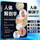 人體解剖學(xué) 結(jié)構(gòu)和功能圖譜 馬超主譯 借助分解圖深入展示人體器官的工作動(dòng)態(tài)
