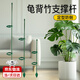 olevo盆栽植物固定防倒伏護(hù)葉架月季花卉花枝扶持架綠植蝴蝶蘭花支撐架 支撐桿30cm*10根+固定扣15個