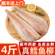 鼠大皇 大西洋真鱈魚(yú)頸背肉 冷凍鱈魚(yú)塊 整條鱈魚(yú)柳 去骨去刺 深海魚(yú)類 【超市品質(zhì)】原切鱈魚(yú)柳 2000g