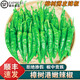 南步正宗湖南樟樹港辣椒【順豐到家】章樹巷辣椒薄皮小辣椒新鮮蔬菜 2500g 精品裝