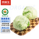 京鮮生&聽蔬 山東有機圓白菜凈重4斤 單顆400g+綠甘藍(lán) 有機認(rèn)證源頭直發(fā)