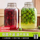 INTRUE泡酒玻璃瓶專用酒瓶青梅楊梅自釀果酒空瓶子食品級(jí)密封罐泡酒容器 方形【6.4斤裝】