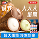 宏寶萊俄式大蛋筒脆皮冰淇淋牛奶巧克力抹茶味冰激凌雪糕冰棍100g*9支