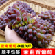 茉莉香葡萄應季新鮮水果孕婦甜玫瑰香提子 2斤 順豐