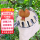 花沃里摘果器5米可伸縮多功能高空摘果子神器摘水果荔枝杏楊梅柿子工具