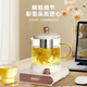 艾貝麗艾貝麗養(yǎng)生杯ABL-DD67