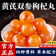 東自營園【官方店旗艦】黃芪雙參枸杞丸現(xiàn)貨速發(fā)西洋參枸杞黨參丸獨立包裝 【周期裝】黃芪雙參枸杞丸200g*5罐 京東自有品牌草本精粹甄選送禮