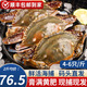 【鮮活發(fā)貨】?；蕿?梭子蟹 鮮活大螃蟹特大海蟹白蟹飛蟹海 梭子蟹鮮活【特大】2斤4-6只
