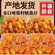 魚臻多麻辣魷魚仔帶籽墨魚仔即食帶籽網(wǎng)紅零食小吃熟食休閑食品小包裝 原味滿籽魷魚仔250g