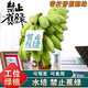 南步禁止蕉綠 可食用綠植小米蕉工位水培禁止焦慮香蕉辦公室桌面擺件 8-9斤【一級(jí)帶桿小米蕉 3-4把】