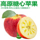 諸氏橙品【精選】高原蘋(píng)果 云南冰糖心蘋(píng)果 新鮮現摘蘋(píng)果孕婦水果禮盒 4斤精選12枚禮盒-商務(wù)禮
