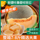 申果果新疆哈密瓜產(chǎn)地直發(fā) 吐魯番西州蜜25號(hào)整箱 新鮮水果網(wǎng)紋瓜精選甜 新疆哈密瓜7-8斤裝（2-3個(gè)瓜）