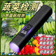 碉凰熒光檢測儀器快速紫光燈驗鈔蔬菜水果殘留新品劑家庭必備 守護健康【檢測波爾多液/藍帆/黃曲霉菌】 【最新款】99%檢測/雙層透鏡/LED光源