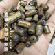 奇楠沉香散珠隨形單珠【DIY手串】天然老料木質(zhì)文玩配珠念珠臻品 5mm沉香奇楠【九分沉/5顆散珠】